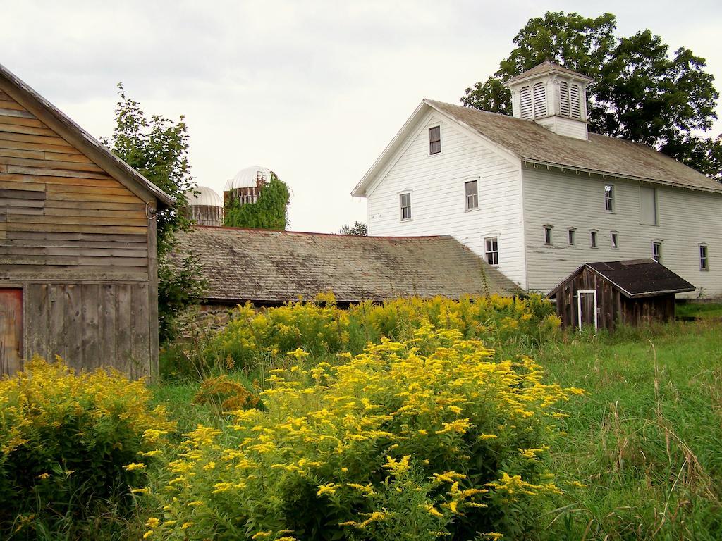 Saratoga Farmstead B&B Saratoga Springs Buitenkant foto