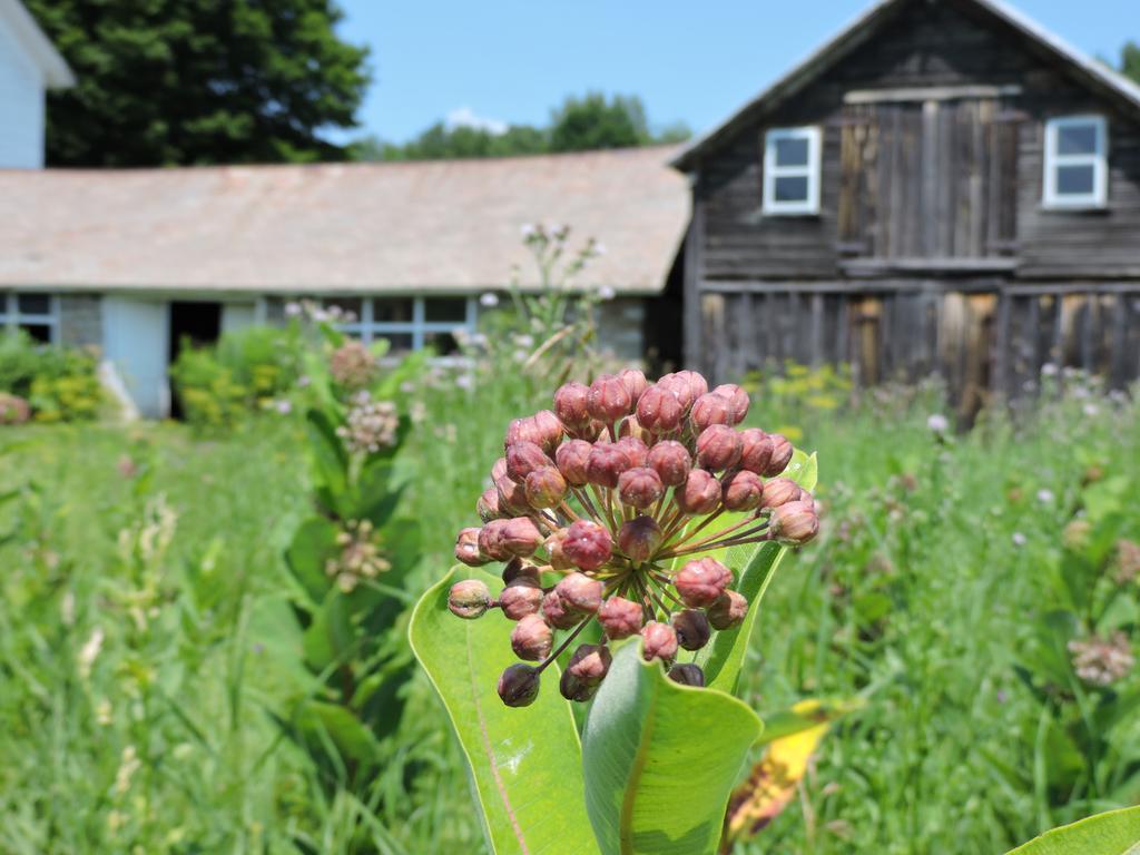 Saratoga Farmstead B&B Saratoga Springs Buitenkant foto